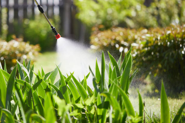 24/7 Emergency Mosquito Control experts in Sumiton, AL