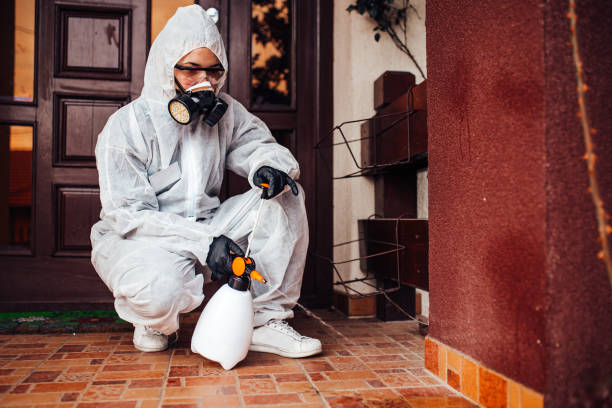 Reliable Mosquito Control contractor in Sumiton, AL by Show Me Pest Control